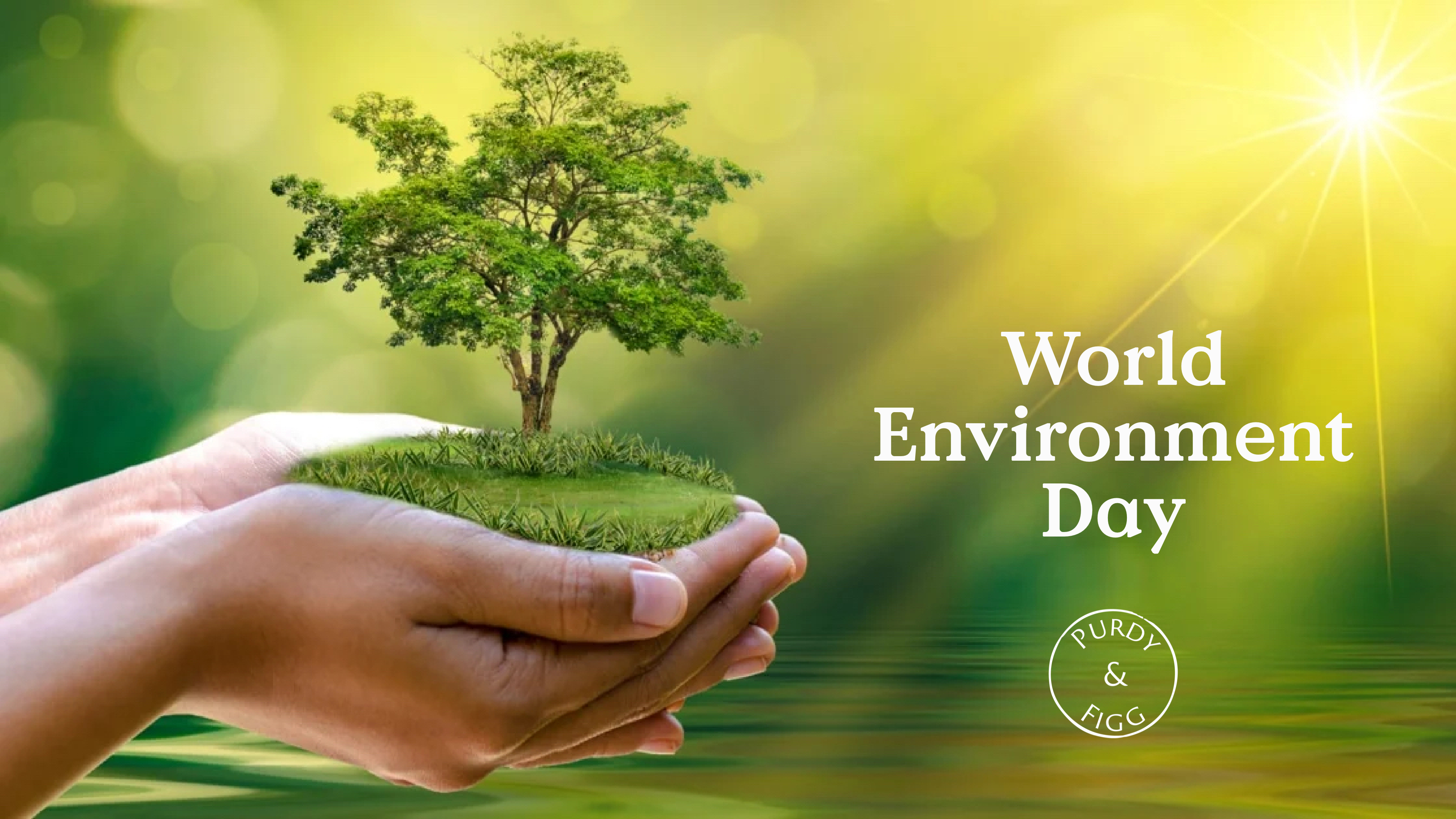 World Environment Day 2022: Only One Earth – Purdy & Figg