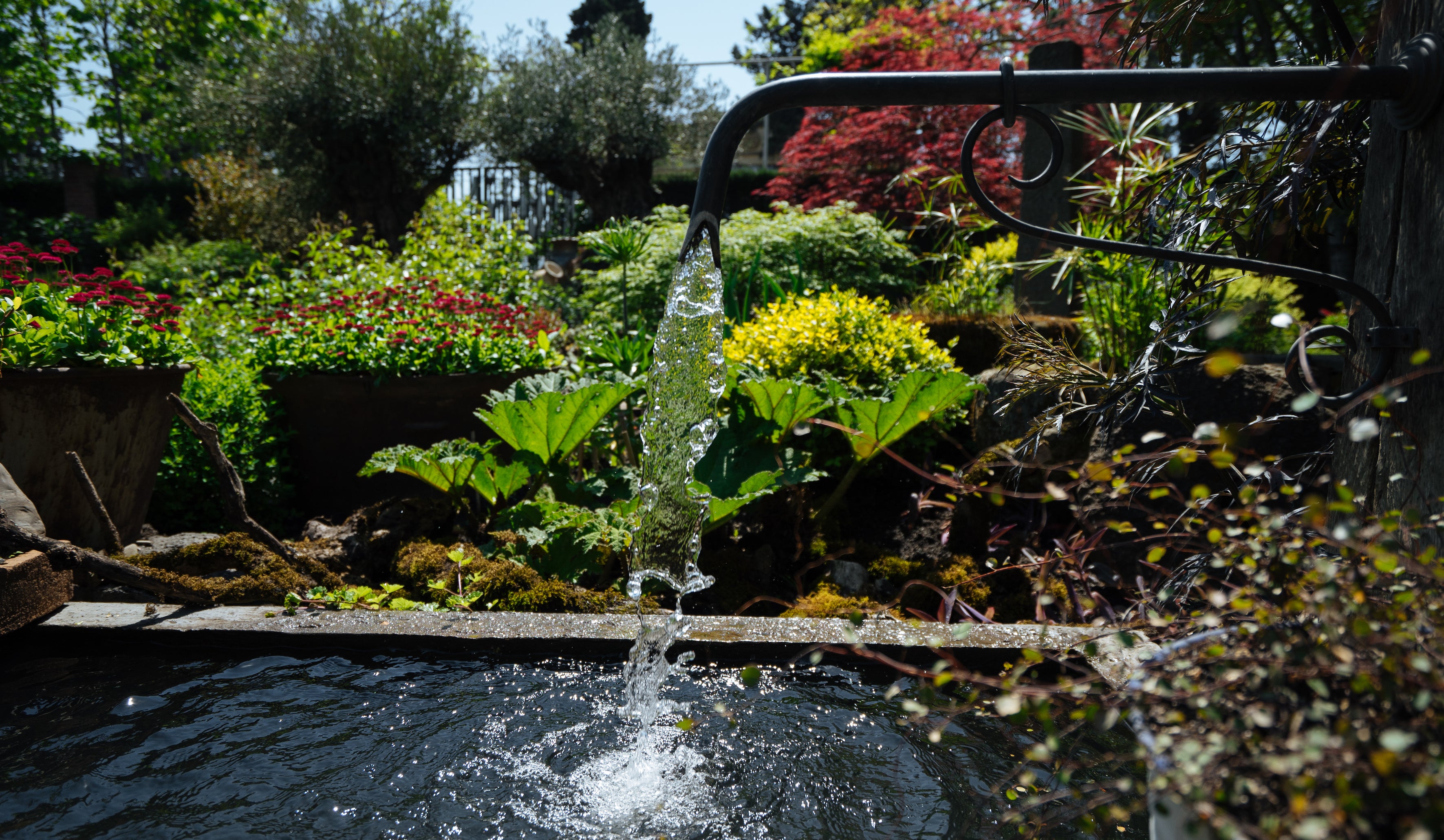5 Tips for saving water – Purdy & Figg