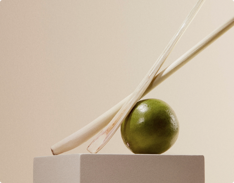 A close up of a lime and two sticks of lemongrass. 