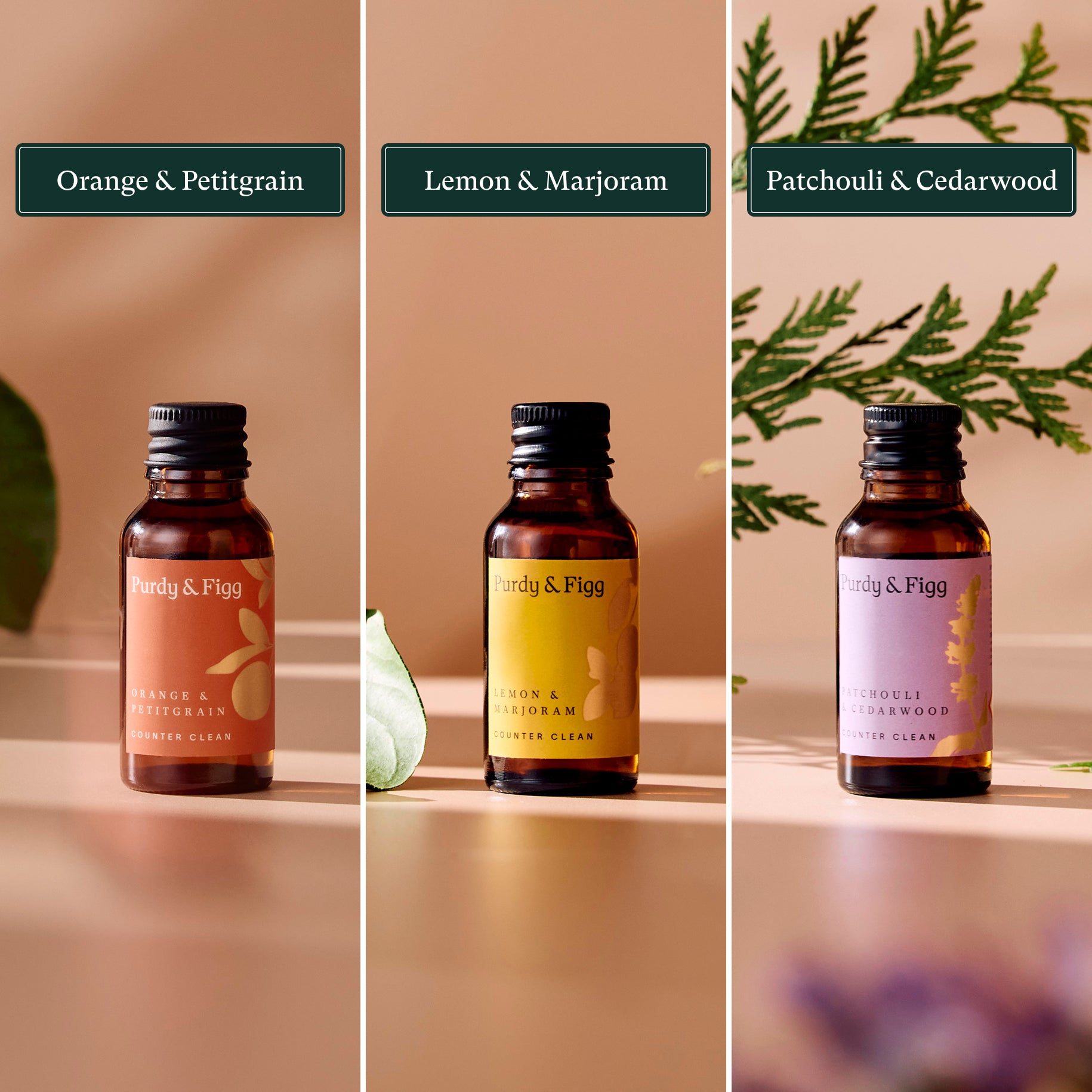 Purdy & Figg | Everyday cleaning made easy