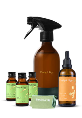 Christmas Bathroom Bliss Starter Kit