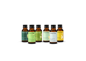 Complete Seasonal Variety Refill Pack (Spring)