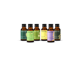 Complete Signature Variety Refill Pack