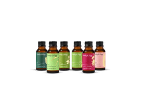 Complete Seasonal Variety Refill Pack (Summer)