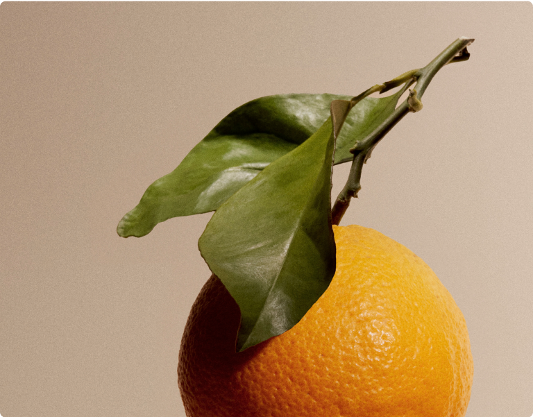 Close up of orange, with leaf attached