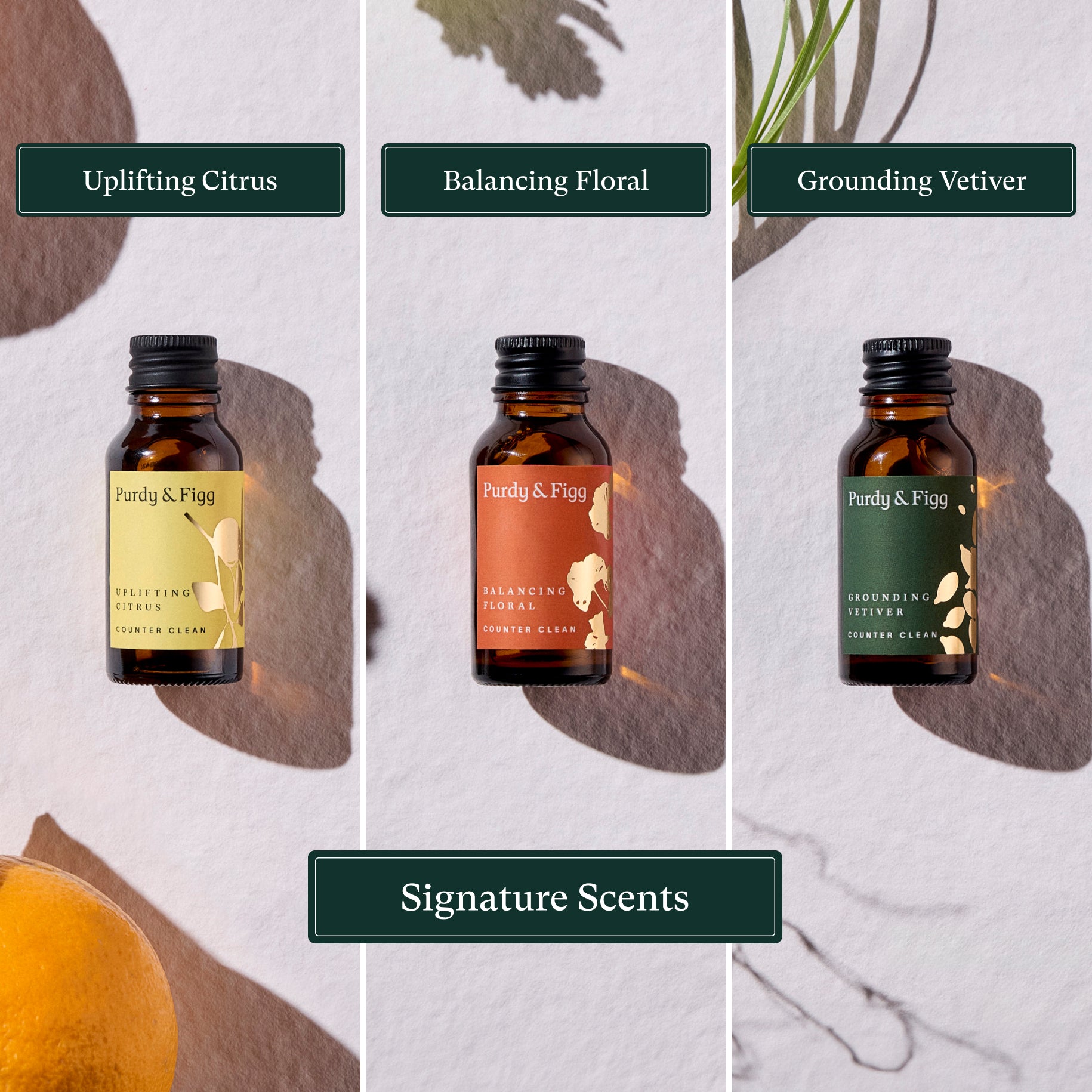 Purdy & Figg | Everyday cleaning made easy