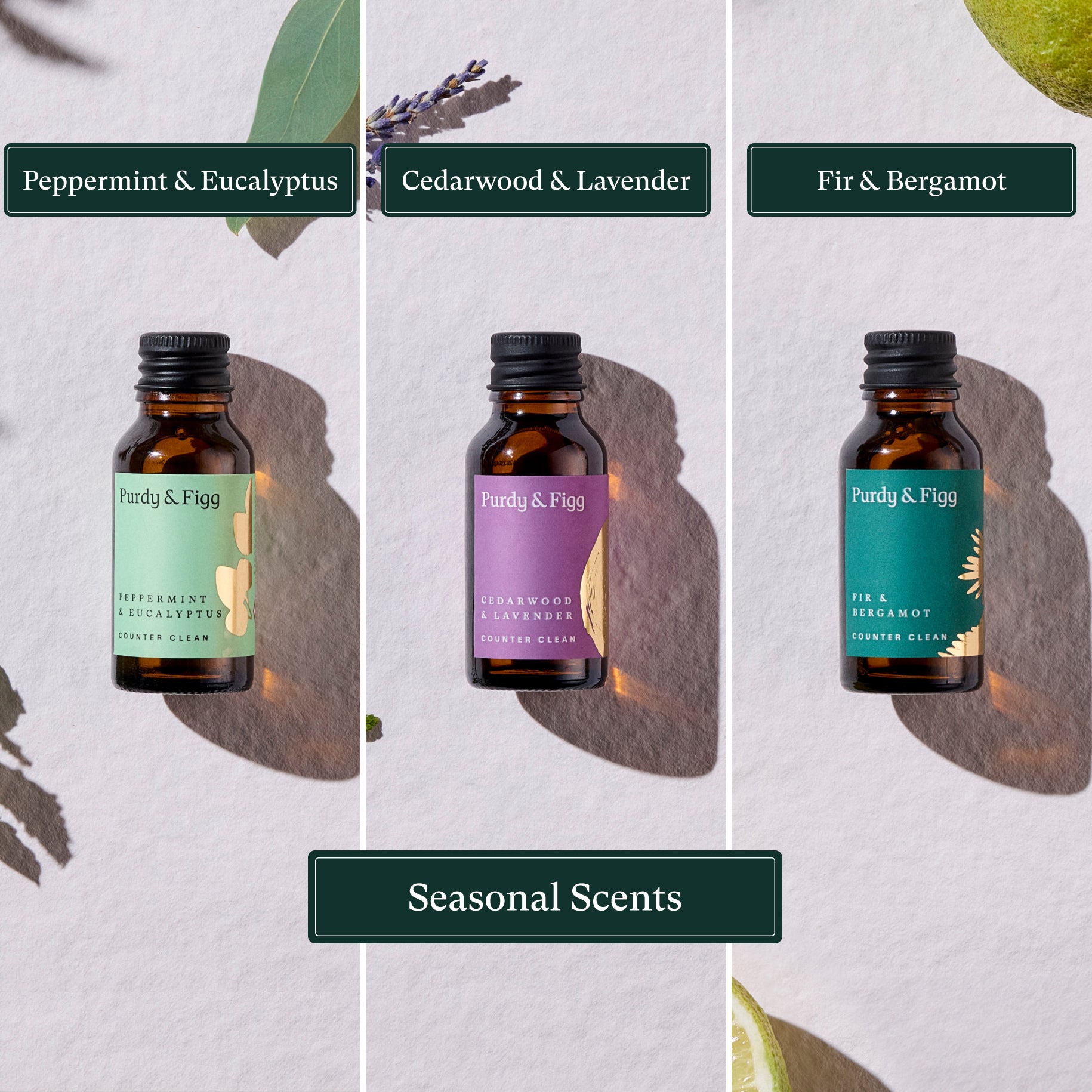 Purdy & Figg | Everyday cleaning made easy