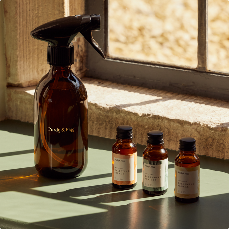 A Bottle for Life and 3 small concentrate bottles on a shelf, bathed in sunlight from a window